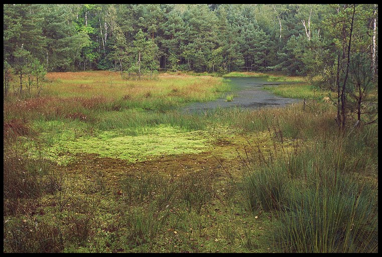 Bagno Przecławskie