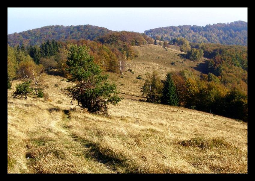 Wielka Jaworzyna 1099m