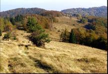 Wielka Jaworzyna 1099m