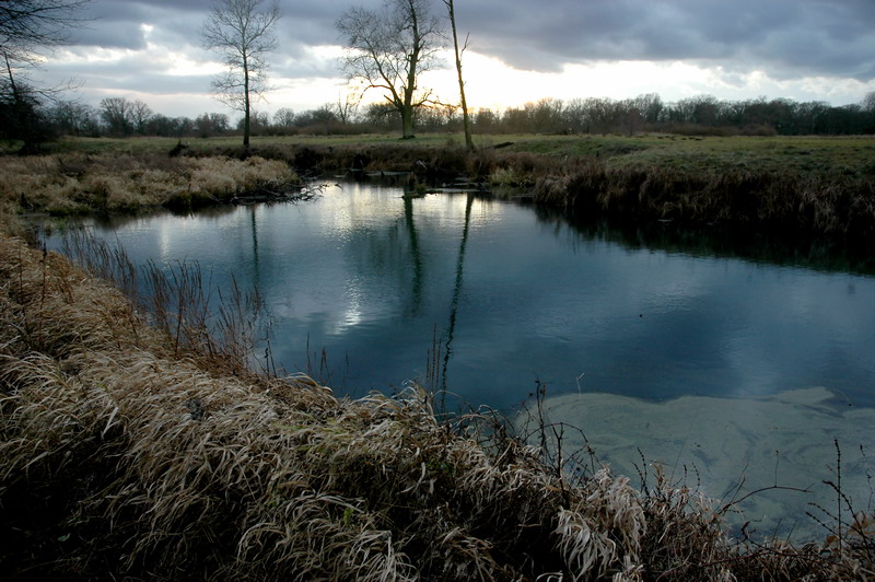 Nad Wartą (1)