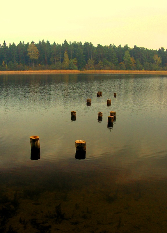 Zwinięty pomost