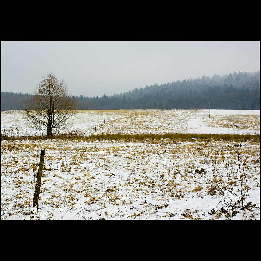 Dołżyca ... Bieszczady