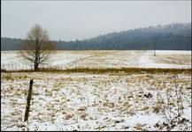 Dołżyca ... Bieszczady