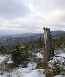 Beskid Sądecki