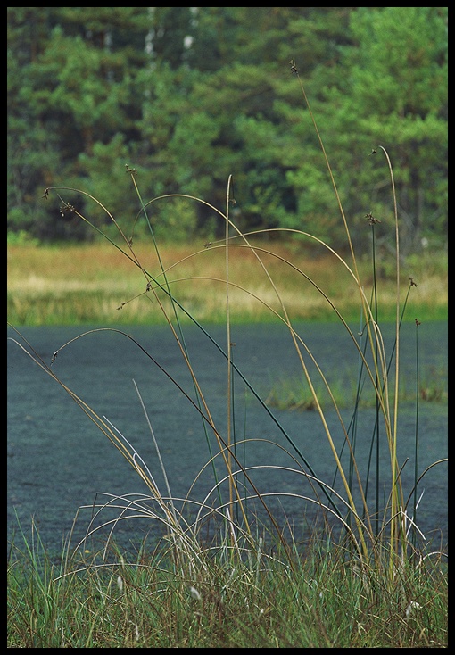 Bagno Przecławskie