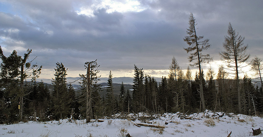 Beskid Sądecki