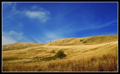 Bieszczady - październik 2006