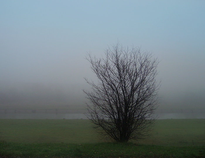 Mgła  nad Wartą