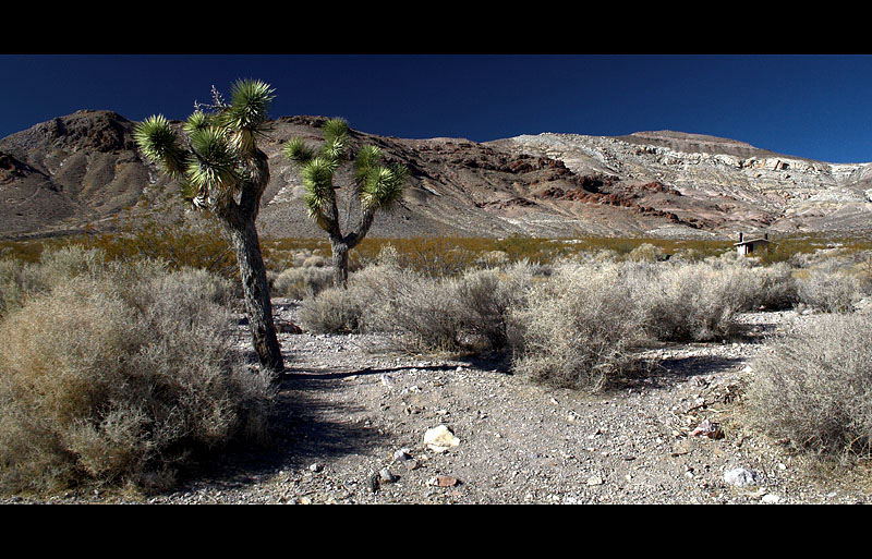 Death Valley , CA