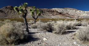 Death Valley , CA