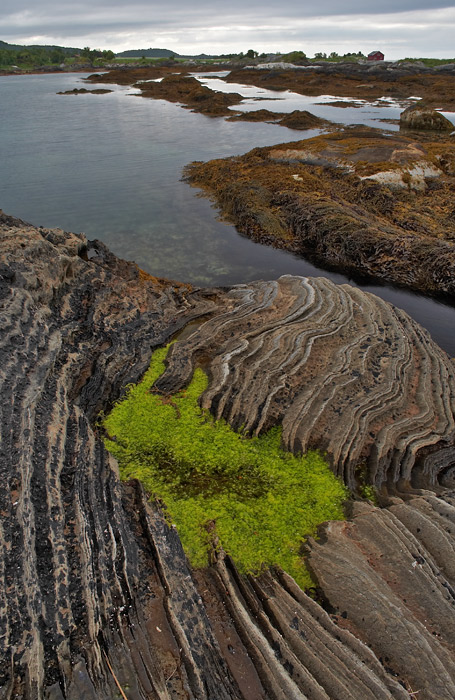 Saltstraumen