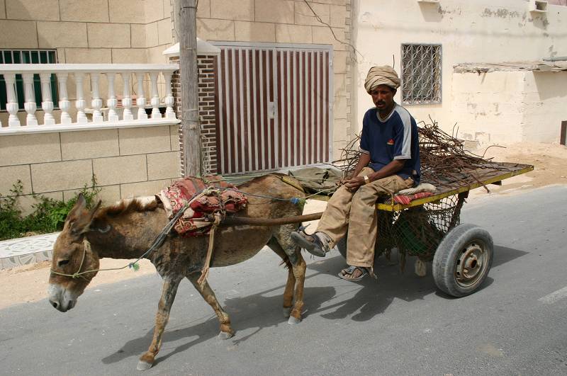 transport osobowo-towarowy