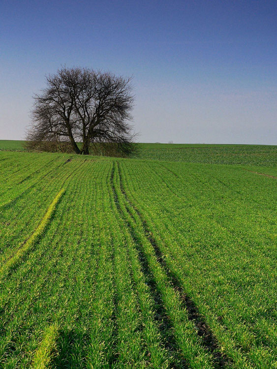 STYCZEŃ 2007