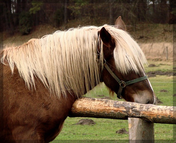 Moja mała Blondyneczka :P