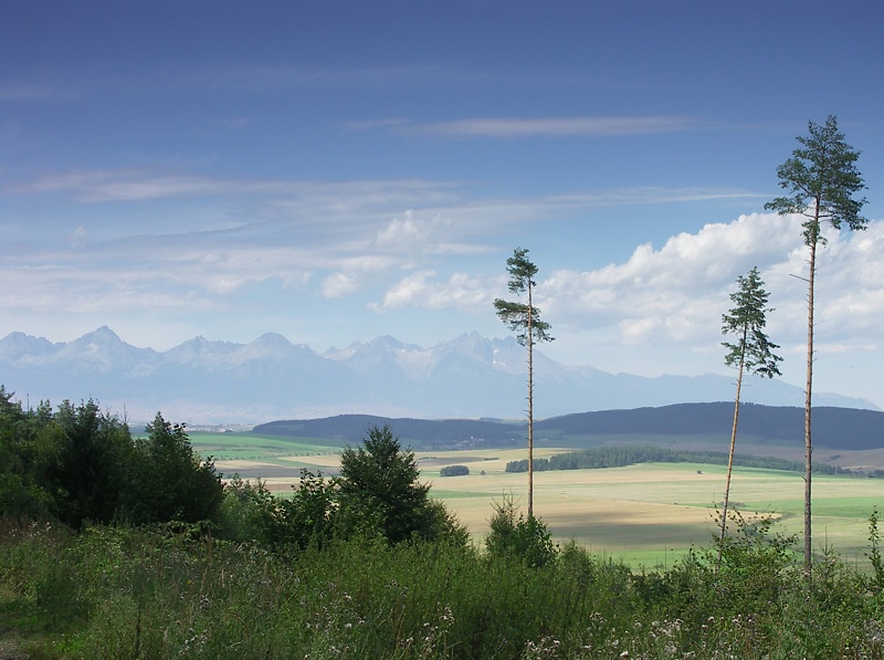 Widok na Tatry