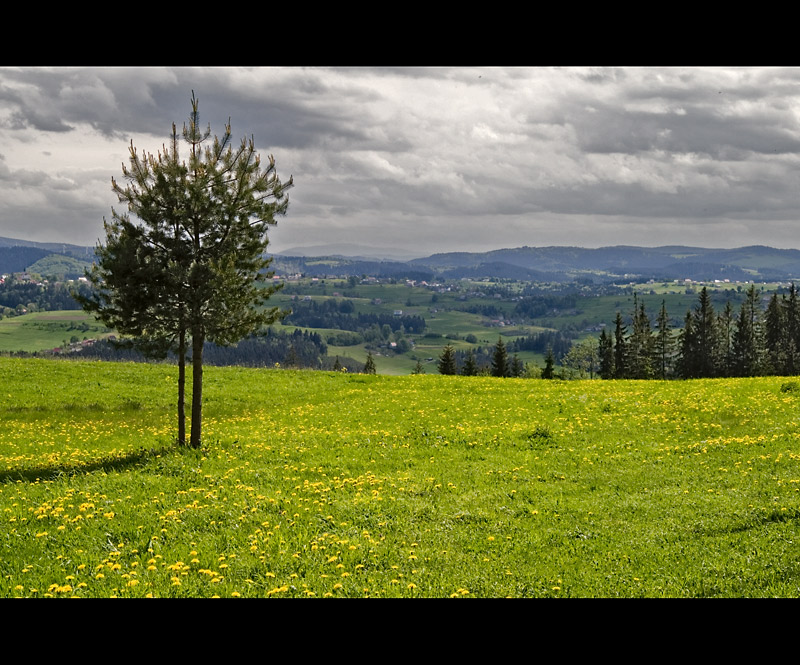 beskid