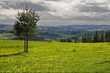 beskid