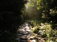 Tatry