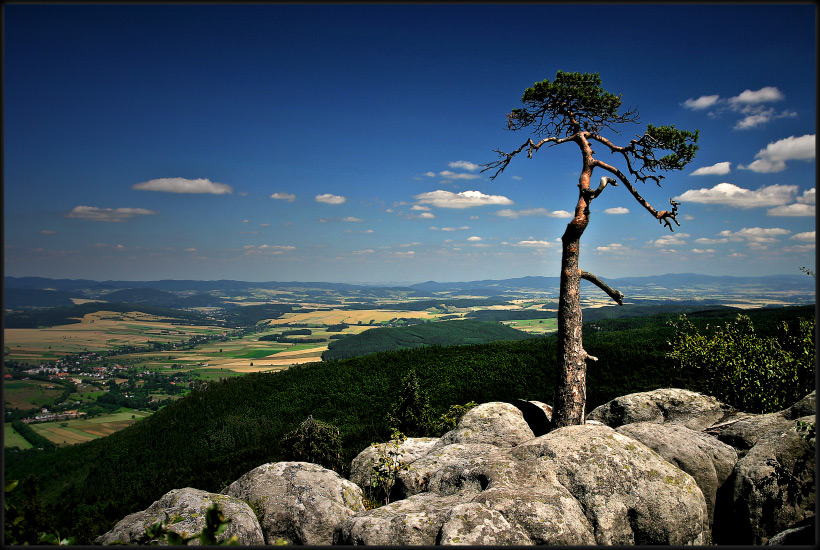 Pejzaż Stołowy