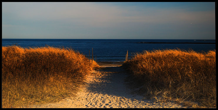 Welcome to the beach