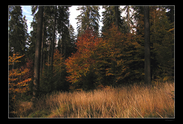 ...beskid slaski...