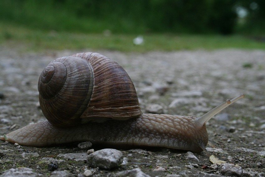 na wyścigi...