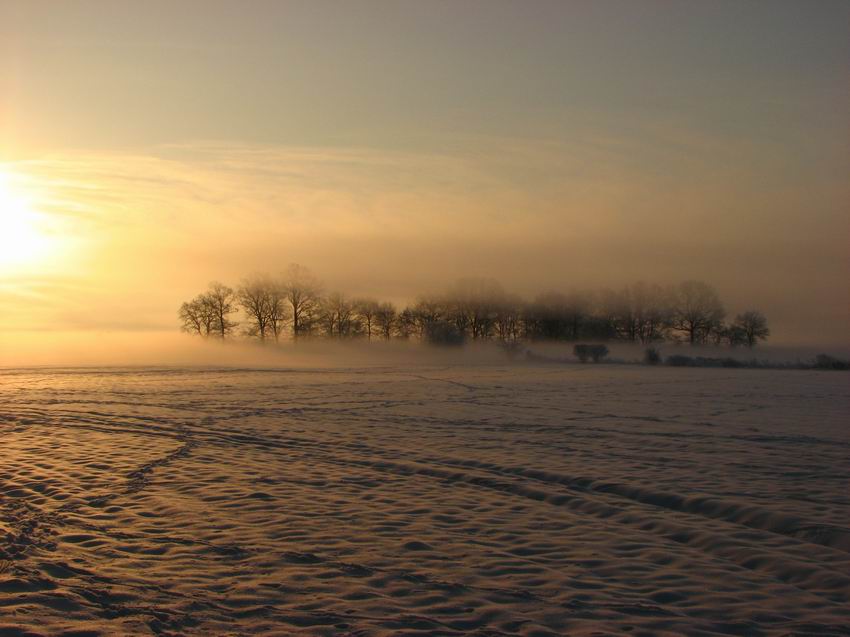 pierwszy śnieg tej zimy...