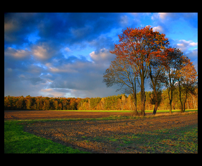 slońcem malowane