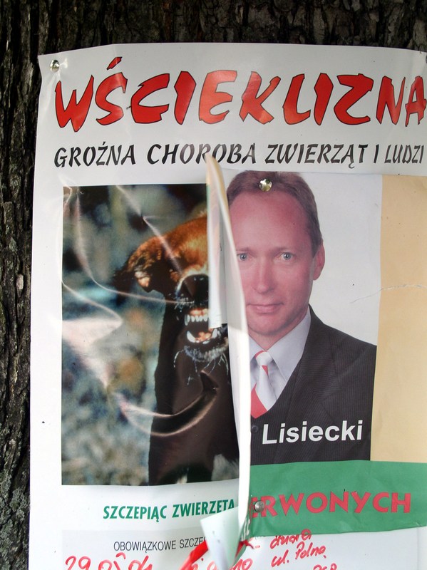 Eurowścieklizna