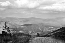 Beskid Żywiecki, Hala Miziowa, maj 06