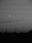 moon rising over the city