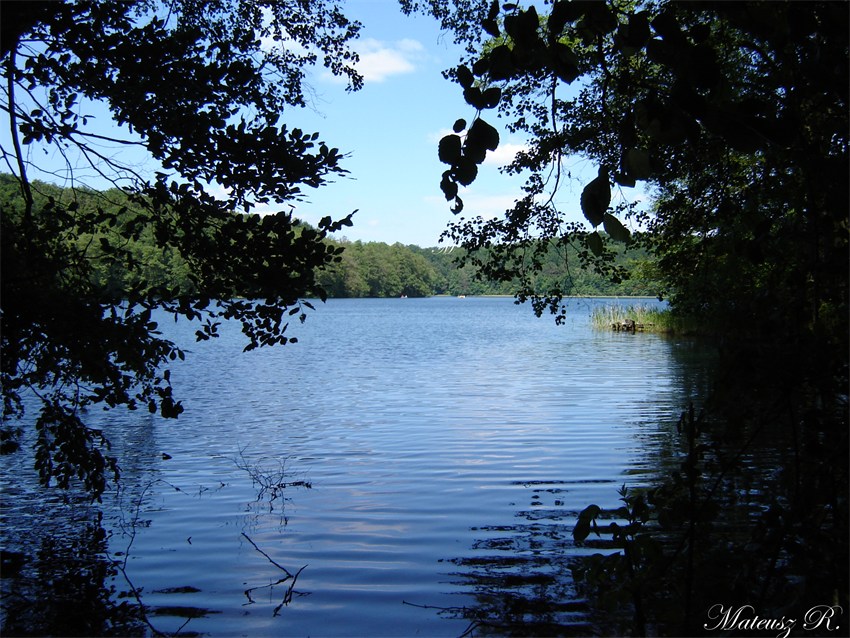 Jezioro Trześniowskie - Łagów