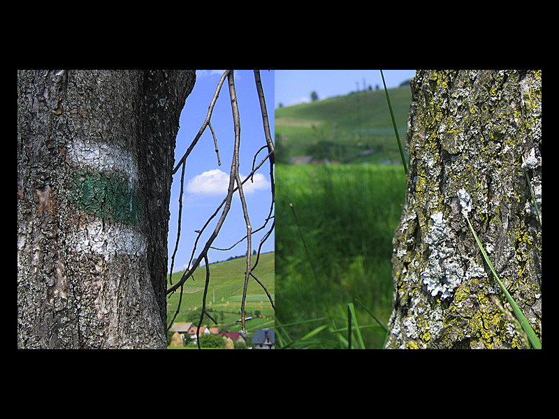 beskid sądecki