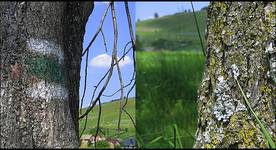 beskid sądecki