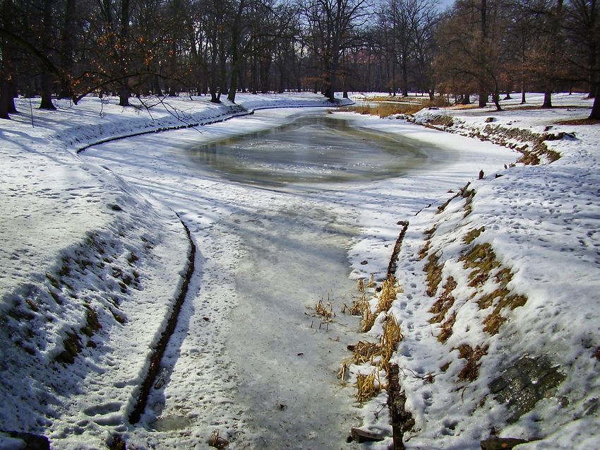 Park Szczytnicki