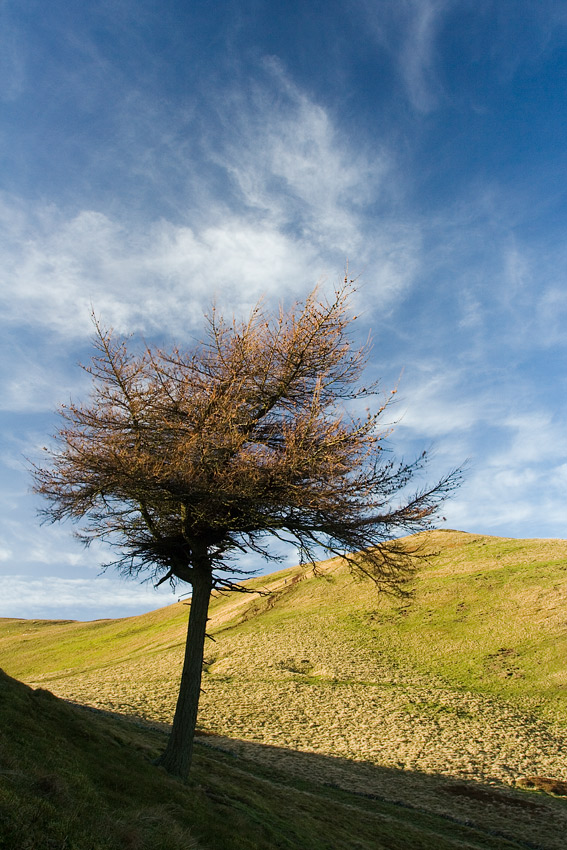 Pentland Hills, Szkocja