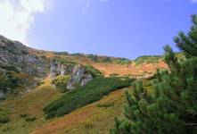 tatry