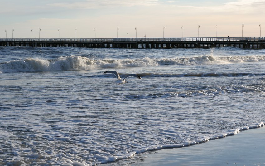 Sopot o poranku