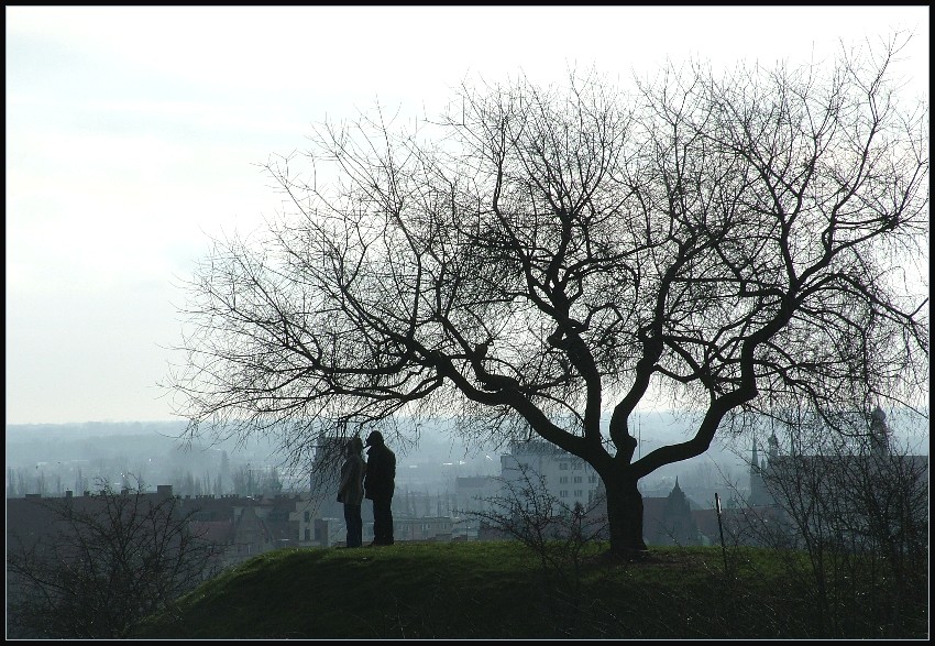 Panorama miasta z Gdańskich Fortów