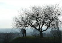 Panorama miasta z Gdańskich Fortów