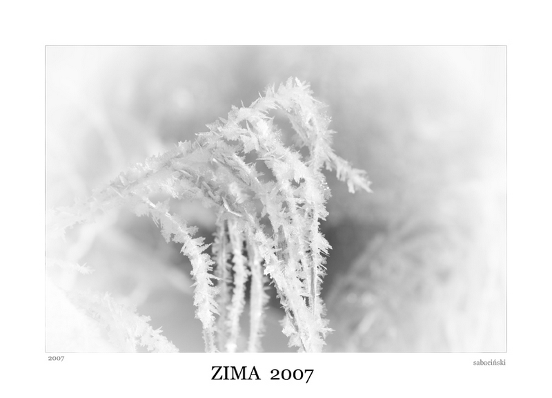 zima