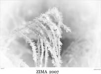 zima