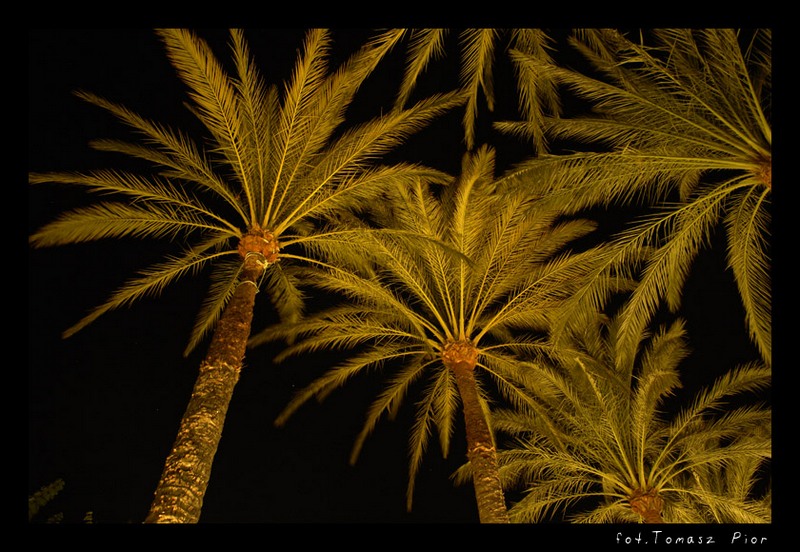 Gran Canaria by night