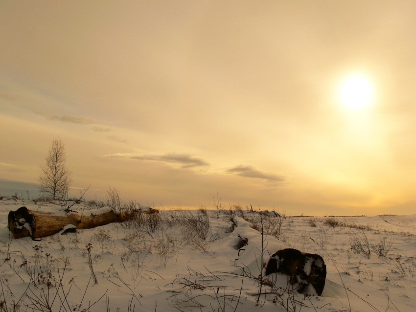 Zimowy landschaft