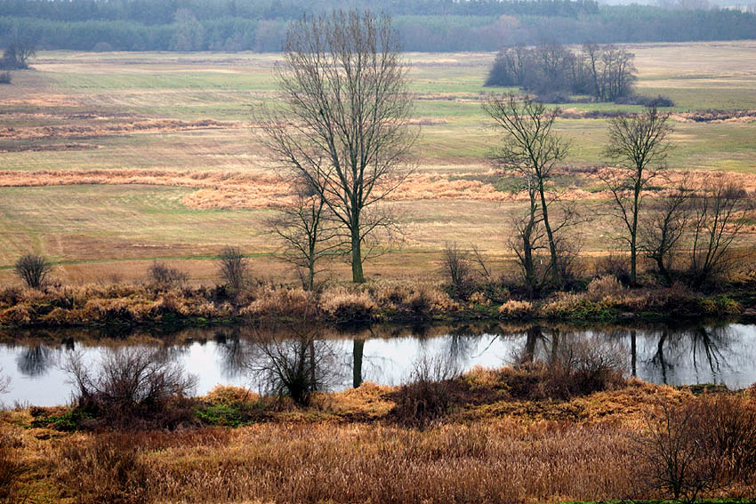 rześki poranek