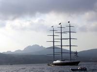 The Maltese Falcon