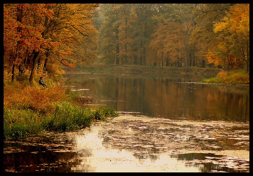 Stara Odra