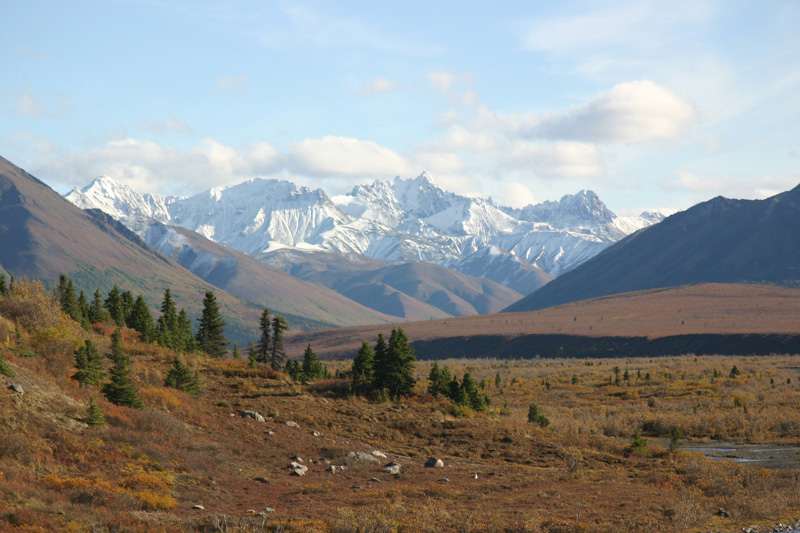 Denali National Park