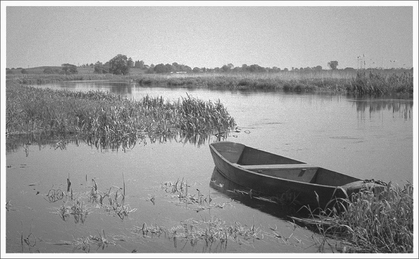 pejzaż polski-Narew