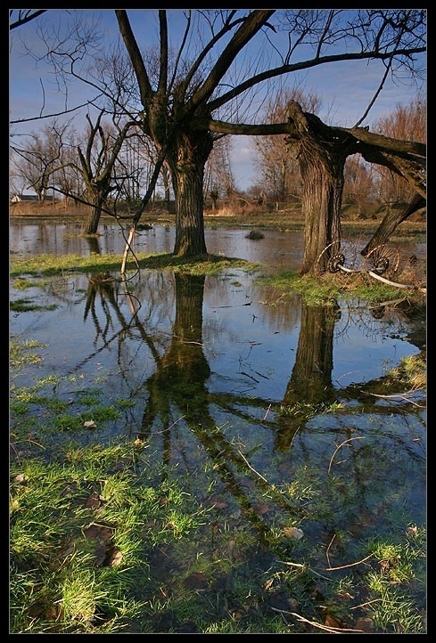 podtopiona zagroda wuja Staszka